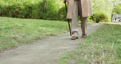Low View of Old Grandfather Walking on Park Path with Crutch in Sunny Day