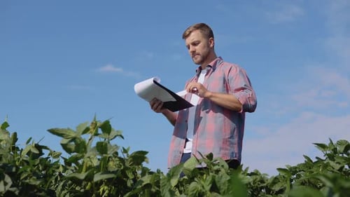 A Young Farmer Makes Notes in a Tablet About the Peculiarities of Soybean Growth in the Field
