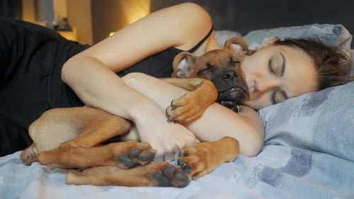 Una joven cansada duerme junto a su perro en la cama en casa abraza a un adorable cachorro en primer plano