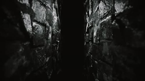 Flying Through Dark Wet Stone Tunnel Loop Background