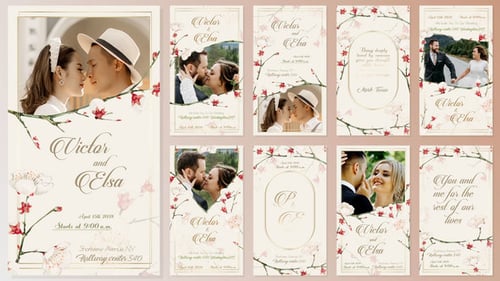 Wedding Invitation Instagram Stories