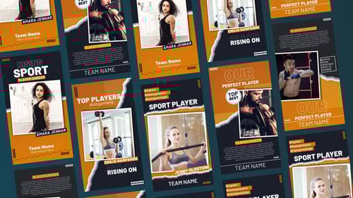 Dynamic Sport Player Profile Instagram Stories Template