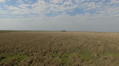 Aerial view flying over Ibera Wetlands, Corrientes Province, Argentina