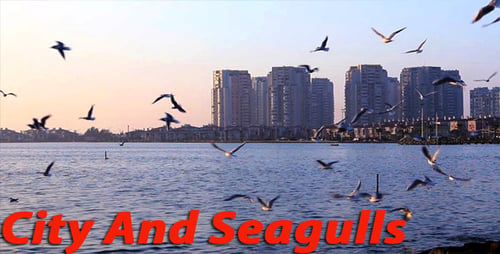 City And Birds