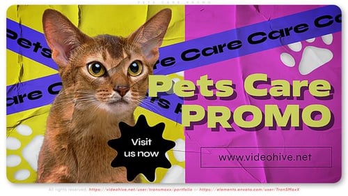 Vibrant Pet Care Promotion with Dynamic Graphics