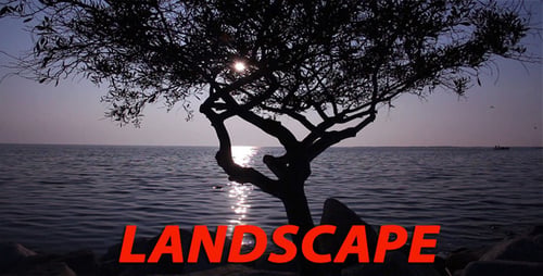 Landscape