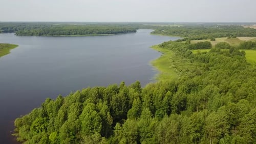 Wilde Natur des Sees Zaronovo 13