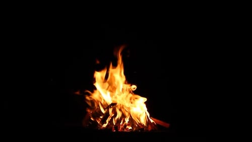 Burning Bonfire From Firewood on a Black Background with Shiny Sparks
