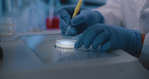 Scientist Adding Liquid to Petri Dish in Lab