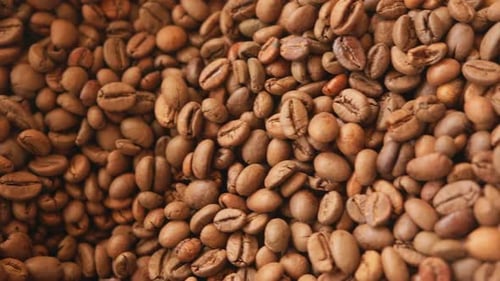 Raw Coffee Beans Close Up