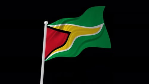 Realistic Waving Flag of Guyana Animation Loop