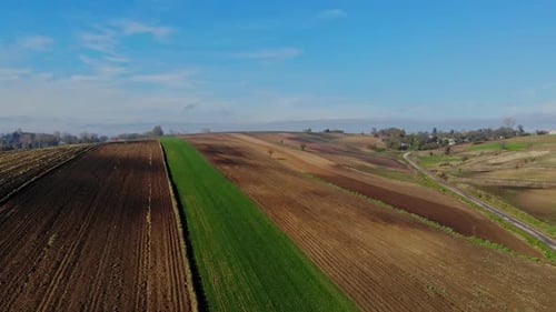 Cultivated Fields in the Light of the Autumn Sun