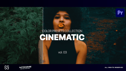 Cinematic LUT Collection Vol. 03 for Premiere Pro