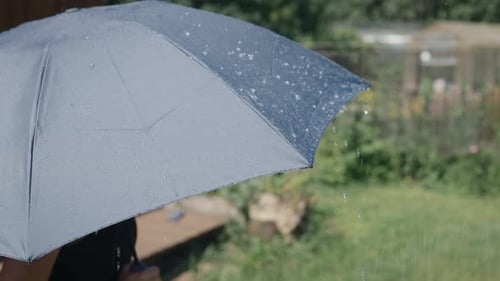 Rain Drops Falling on an Umbrella Outdoors