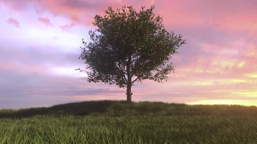 Apfelbaum