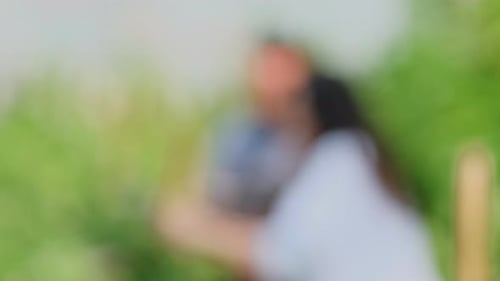 Researchers Inspecting Hemp Plants with Magnifying Glass