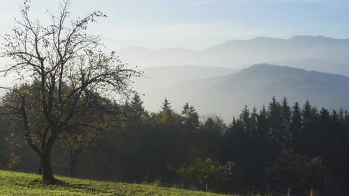Morning Fog Mountain Silhouettes 2