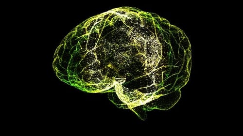 Glowing Wireframe Brain with Neural Network Activity Loop