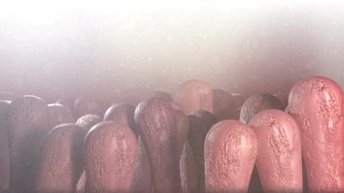 Intestinal Villi Abstract Background