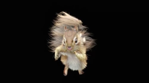 Chipmunk: Tanzen HD