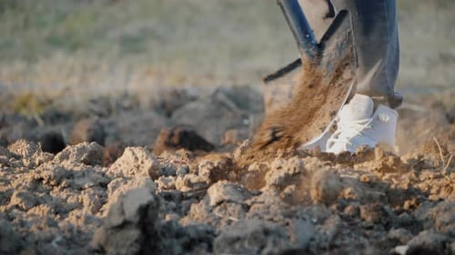 The Farmer Digs Up Land in His Garden. Enjoys Shovel,
