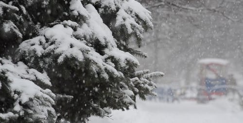 Snow Falls in a Winter Wonderland