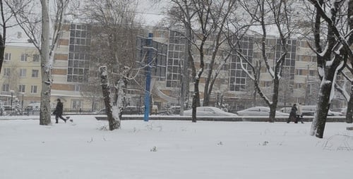 Blizzard 25