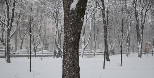 People Walking Through Snow-Covered Urban Winter Park