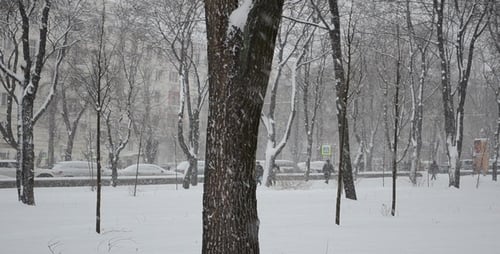 Blizzard 34