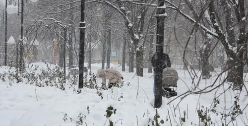 Couple Walking with Stroller Through Snowy Winter Park