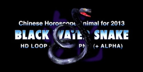 Black Water Snake