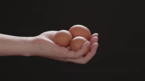 La mano sostiene y muestra increíbles huevos de gallina