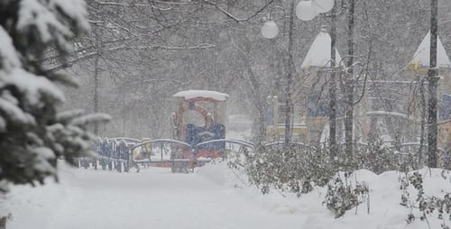 Blizzard 83