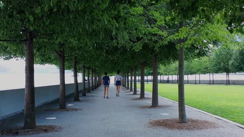 People Walking Down Tree-Lined Path in Urban Park