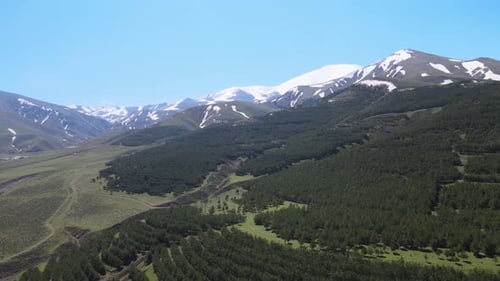 Wald und Berge in der Natur