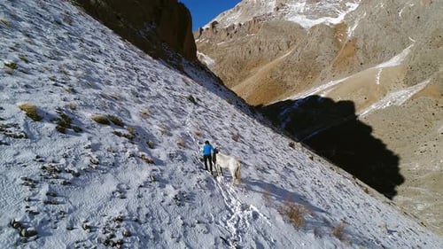 Mountaineer