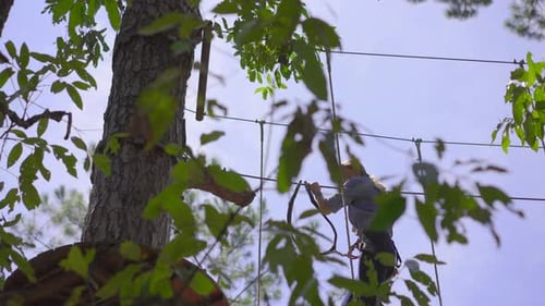A Young Woman in an Adventure Park. She Wears a Safety Harness. She Climbs on a High Rope Trail