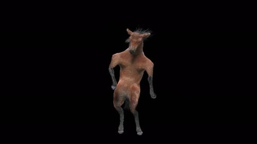 30 Danse équestre 4K