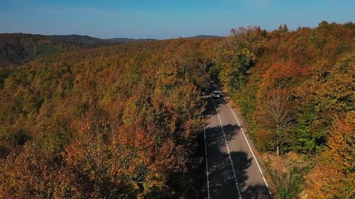 Road in the Autumn Forest Aerial View