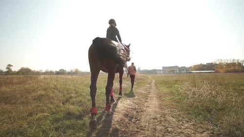 Little Girl Riding Through Meadow on Purebred Brown Horse. Jockey Kid Horseback Walking Outdoor