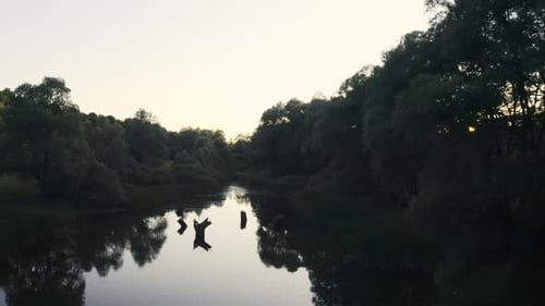 Aerial View on River and Forest
