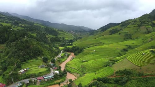 Aerial top view of fresh paddy rice terraces. Agricultural fields in Vietnam