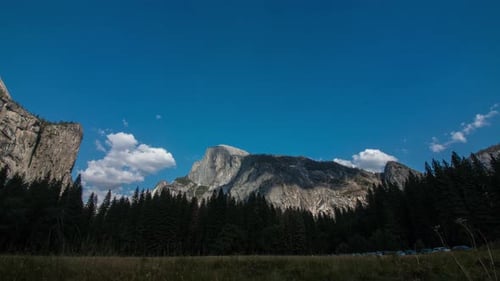 Picturesque Mountain View with Meadow and Forest