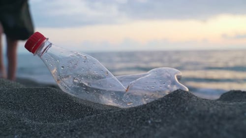 Crop Person Removing Bottle From Sand
