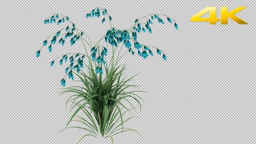 Growing Blue Bell Plant Time-Lapse Animation