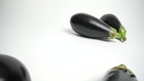 Eggplants 44