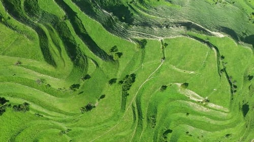 Bird Eye View of Scenic Green Terraces
