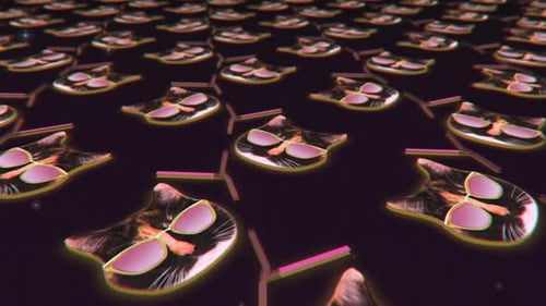Animación de collage de caras de gatos volando en un diseño de movimiento mínimo