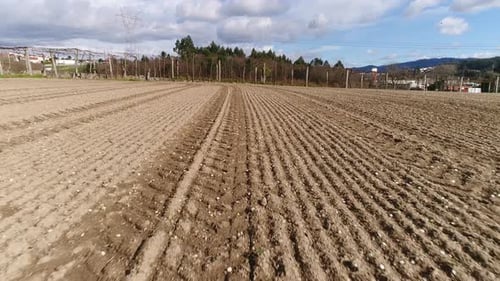 Land
