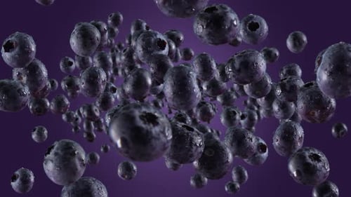Realistic Blueberries with Water Droplets Floating